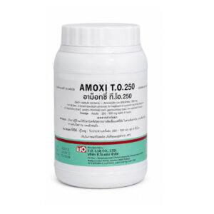 TO AMOXI 250MG 1000'S (GREEN-BLUE)