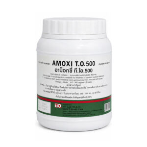 TO AMOXI 500MG 500'S (GREEN-BLUE)