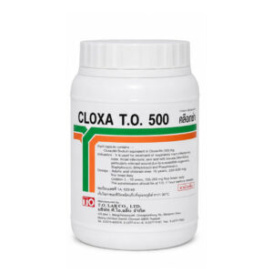 TO CLOXA (Cloxacillin) 500 mg 500 Capsules (ORANGE-BLACK)